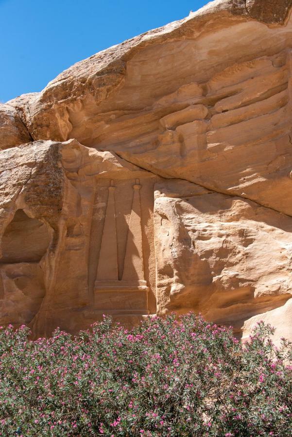 Bedouin Pink Ecohouse Bed & Breakfast Wadi Musa Ngoại thất bức ảnh